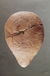 Lampe mit einem Steinbock verziert, aus der Dordogne, ca. 12000 v. Chr.